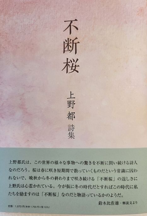 우에노 미야코 시인의 신간 《不断桜》 표지. 후단자쿠라(不断桜)는 겨울에 피는 벚꽃을 뜻한다.