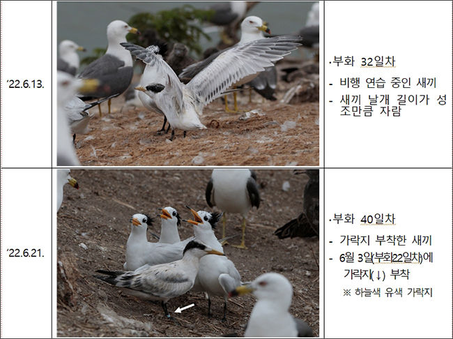 2022년 시기별 번식 관련 사진