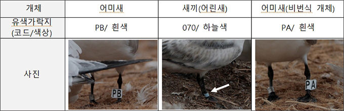 ’22년 번식지(육산도)를 떠난 이후 뿔제비갈매기 이동경로