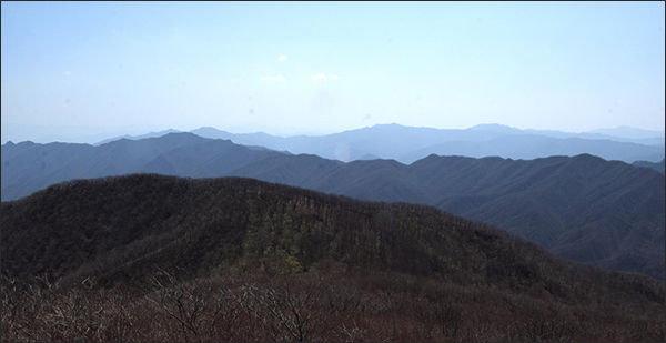 금원산 전경(중앙 복원시험지 조성 장소)