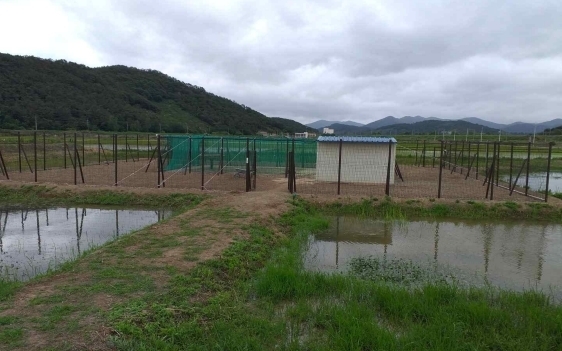 김해시 단계적 방사장