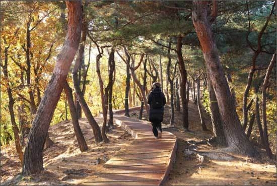 서울 의릉