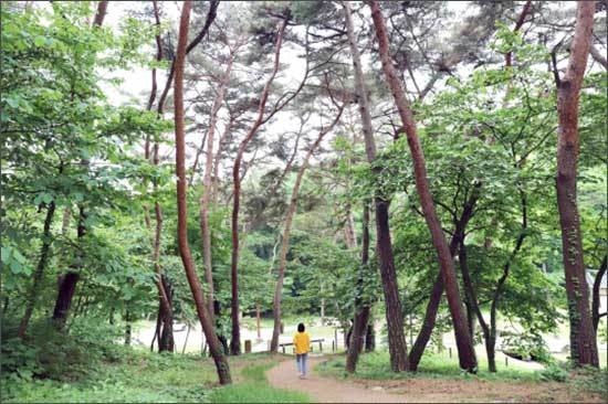 여주 영릉과 영릉
