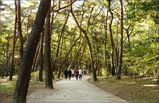 파주 장릉