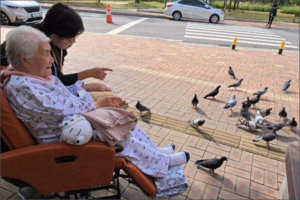 모처럼 병원 뜰에서 비둘기들의 재롱(?)에 흐뭇해 하시는 오희옥 지사와 기자 