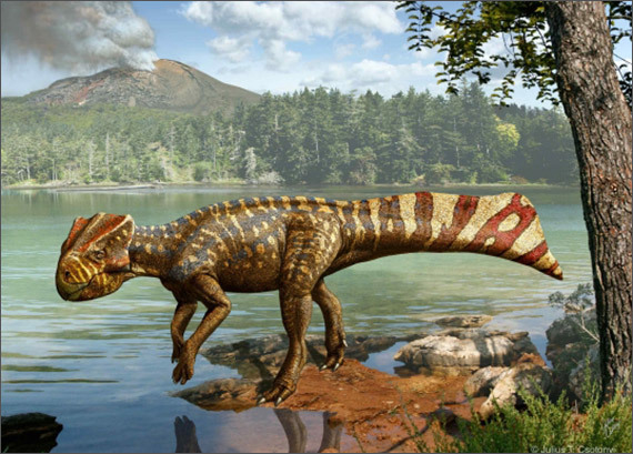 <복원도> * 출처 Lee et al., 2010; Drawn by Julius T. Csotonyi