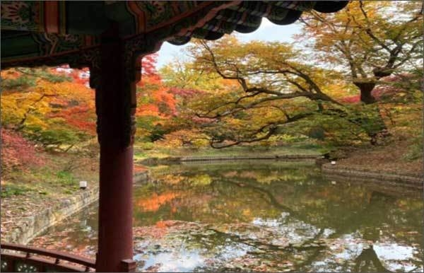 창덕궁 관람정 전경