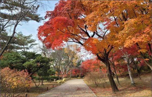 창경궁 산책로 전경