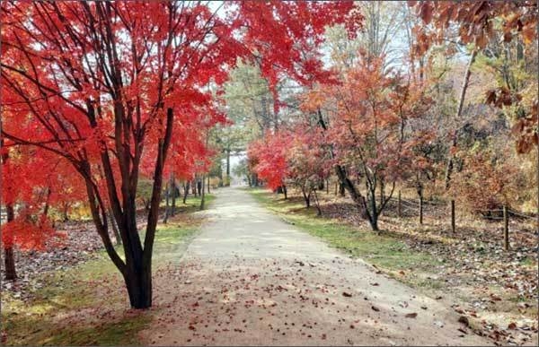 파주 삼릉 산책로 전경
