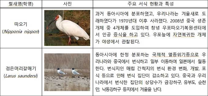 주요 철새 현황