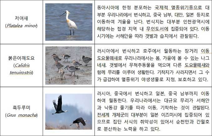 주요 철새 현황