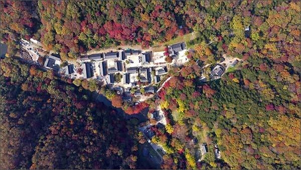 단풍 현황 (‘22.10.29. 찍음)