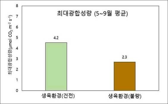 생육환경조건에 따른 광합성량 비교