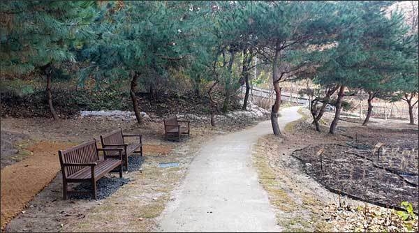 숙지공원 일부가 생태숲으로 준공된 모습