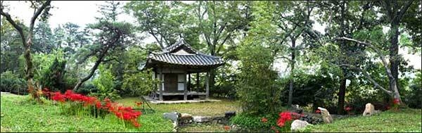 화순 임대정 원림