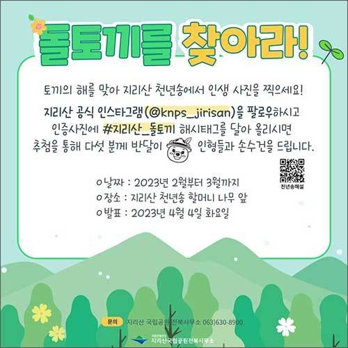 카드뉴스(돌토끼를 찾아라!)