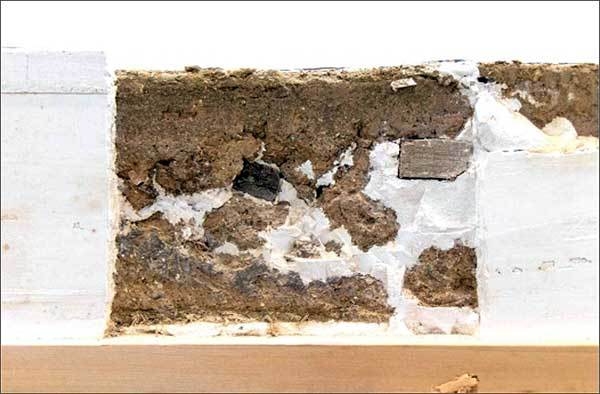 부석사 조사당 벽화의 석고보강제 제거 뒤 측면부 벽체 현황 사진