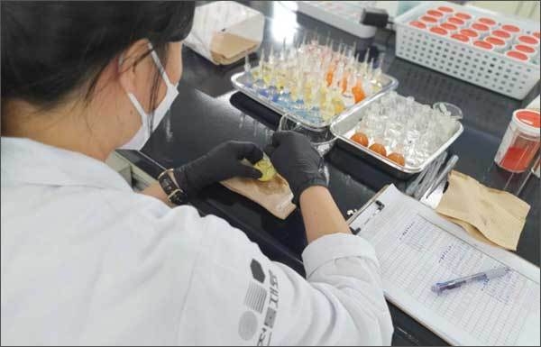 전통 인공 무기물감 품질기준 연구 사진