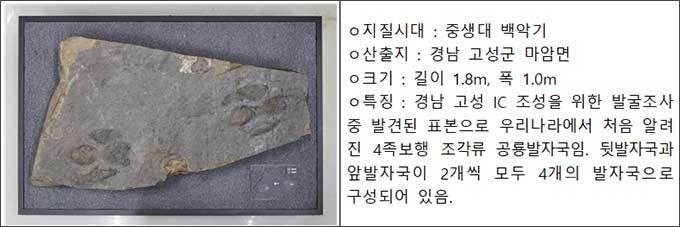 4족보행 조각류 공룡발자국 화석