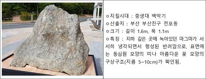 부산 전포동 구상반려암