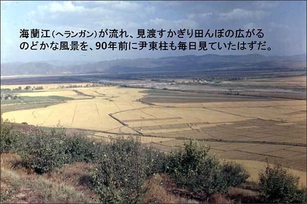 해란강이 흐르는 끝없이 펼쳐진 논, 한가로운 풍경을 90년전 윤동주도 날마다 보고 있었을 것이다. 