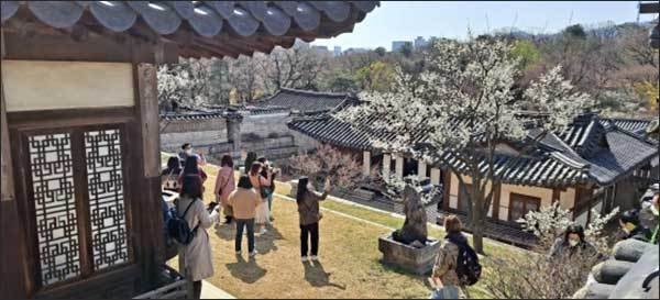 석복헌 후원 한정당 관람 모습(2022년)