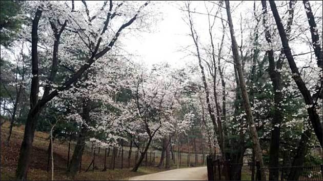 남양주 홍릉과 유릉 둘레길 일원