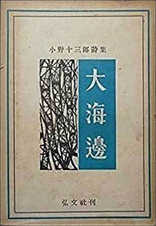 오노 도자부로 씨의 《대해변(大海邊)》 시집 속에는 강제 징용된 조선인에 관한 시 15편이 수록되어 있다.