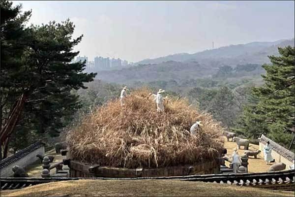 예초 거행 모습(2022