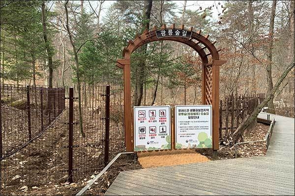 광릉숲 오솔길 사진 1