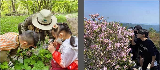 들꽃 관찰과정 운영(‘22.4, 내장산국립공원) - 왼쪽 / 들꽃 관찰과정 운영(‘22.5, 지리산국립공원)