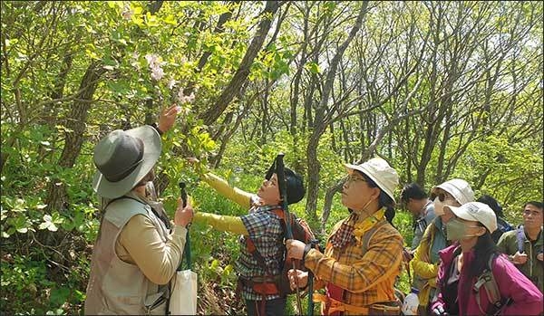 봄철 들꽃 이야기(‘22.5, 태백산국립공원)