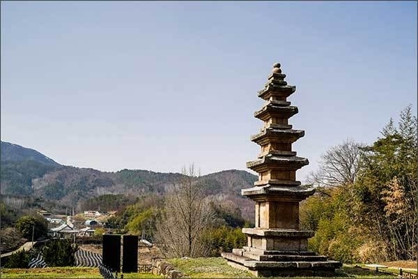곡성 가곡리 오층석탑, 정봉채 사무총장