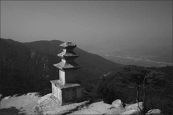 '경주 남산 용장사곡 삼층석탑', 한성운 사업부장