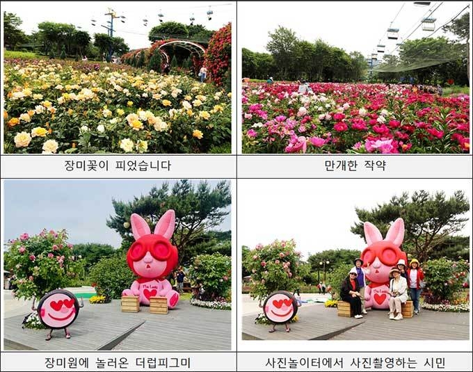 2023.5.24. 현황 <장미원 축제>