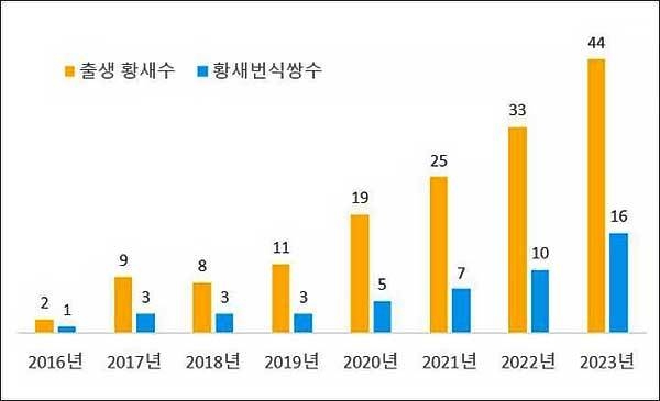 2016~2023년 황새 번식쌍수 및 출생 황새수 증가 그래프