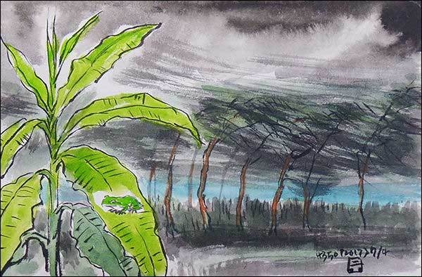 청개구리는 파초 잎에서 노래하네(그림 이무성 작가)