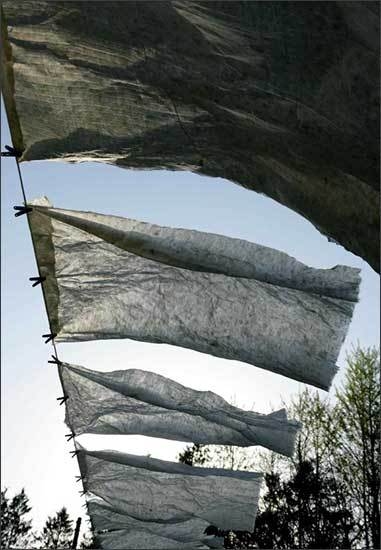 한지