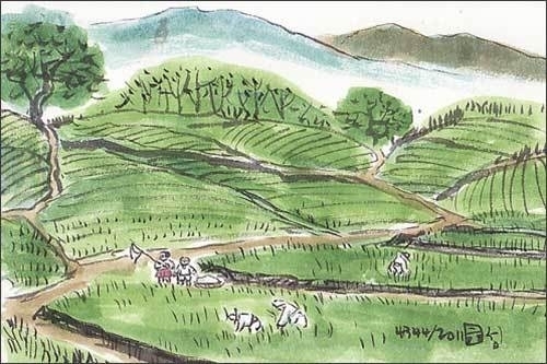 한여름 땀 흘리면서 김을 매는 농부들에겐 솔개그늘이라도 고마운 것이다.(이무성 작가)