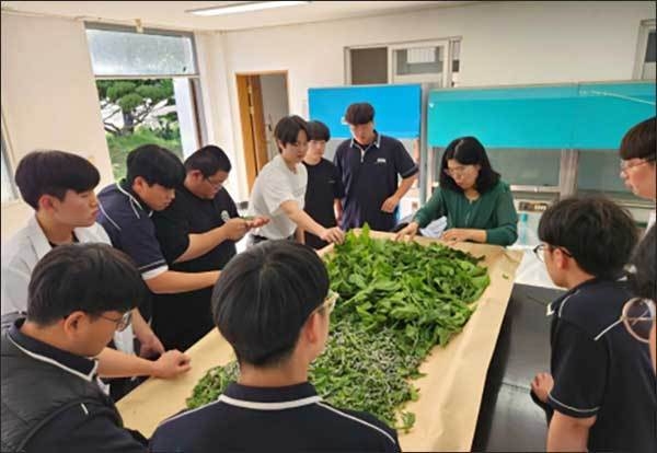 미래 무형유산 발굴 육성 사업_뽕나무 재배와 누에치기 전승교육(충북 보은)
