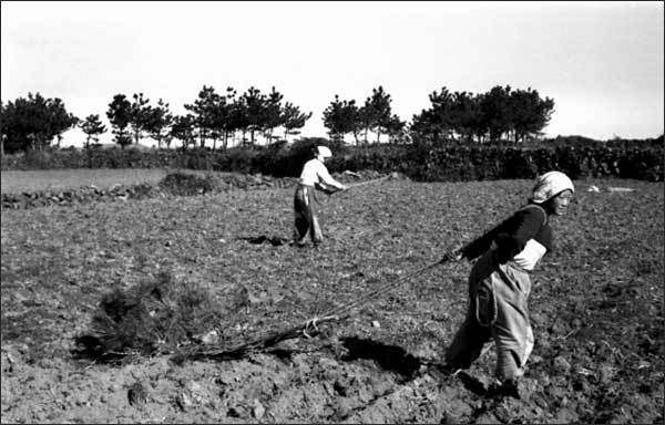 미래 무형유산 발굴 육성 사업_갈몸빼(1960년대/홍정표 촬영)_제주갈옷 아카이브 구축(제주)