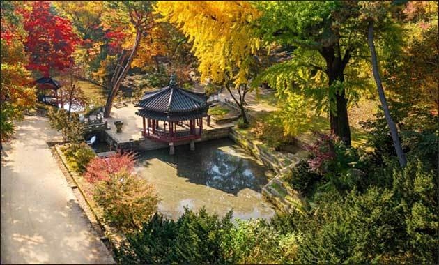창덕궁 후원 존덕지 풍경