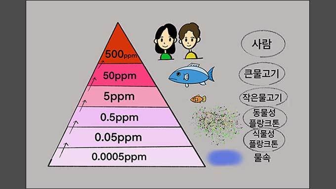 수은의 생물농축 과정 (1ppm은 1/1,000,000 농도), 그림 이승헌 작가