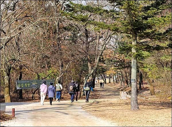 동구릉 숲길 걷는 관람객들