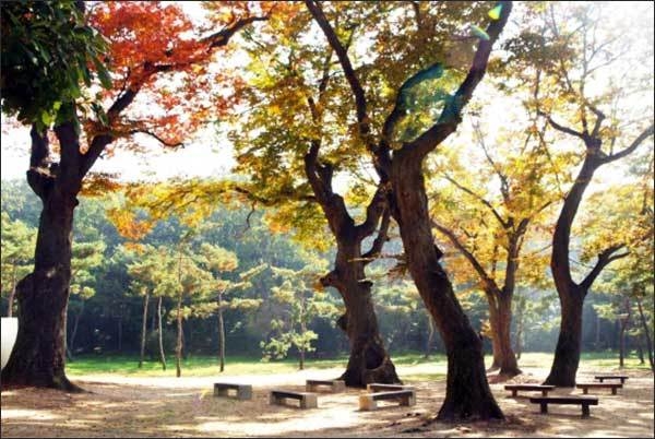 파주 장릉