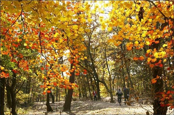 파주 삼릉