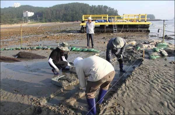 해남선 조사 장면