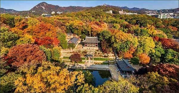 주합루 숲길 전경