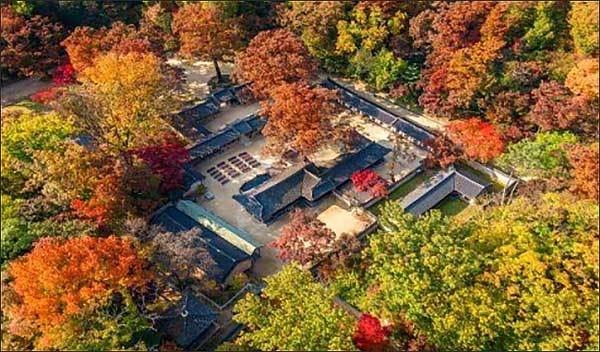 연경당 숲 전경