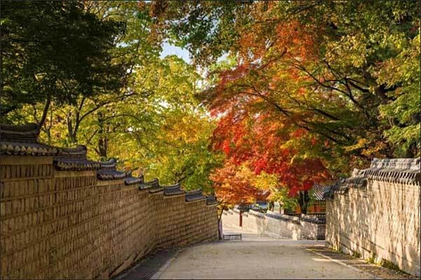 창덕궁 후원 가는 길